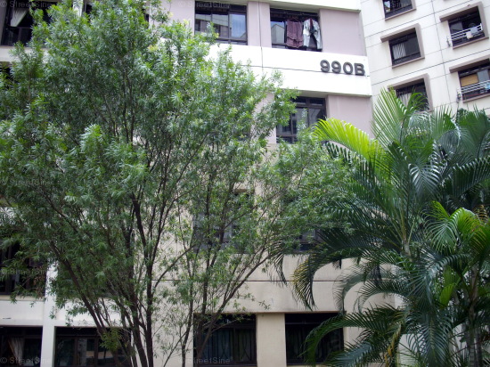 Jurong West Street 93 thumbnail photo